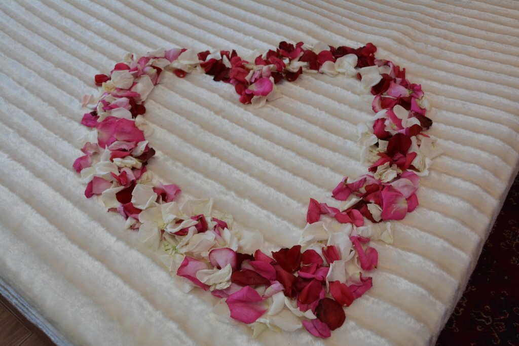 Гостиница Гостевой домик Старый Оскол-24